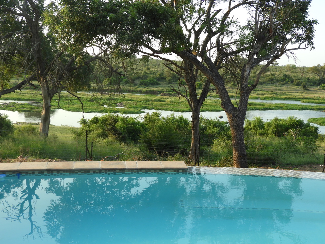 Infinity pool overlooking the Crocodile River and riverine trees